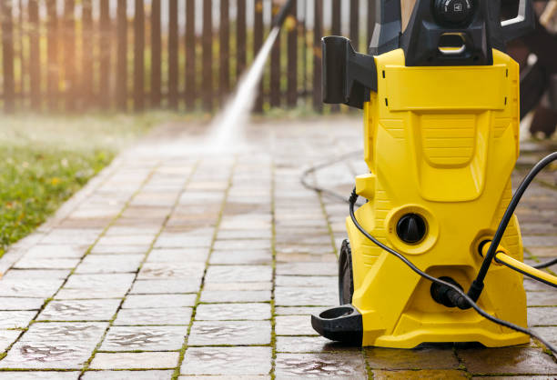 Animal Enclosure Cleaning in Fort Ashby, WV